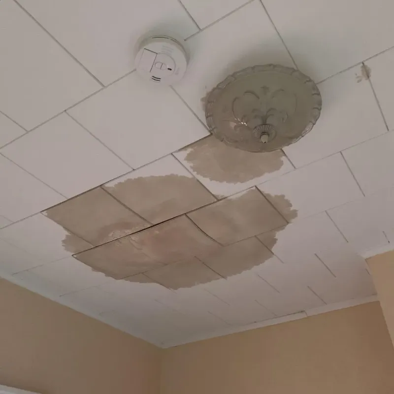Ceiling Water Damage Repair in Decherd, TN