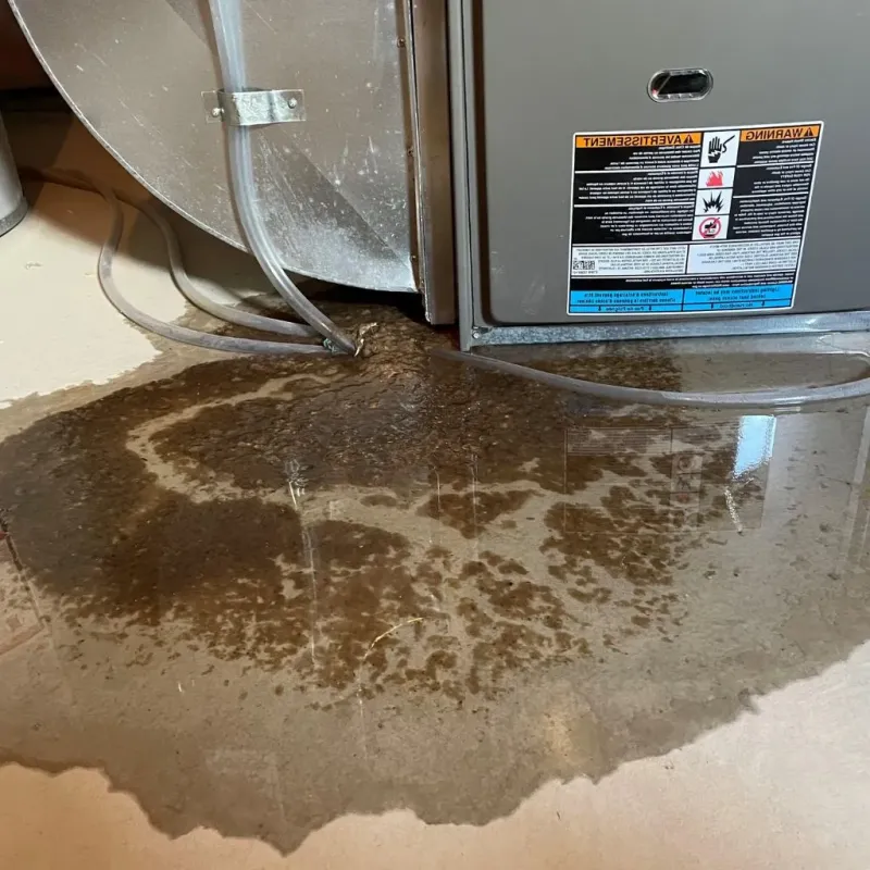 Pipe Burst and Leak Restoration in Decherd, TN