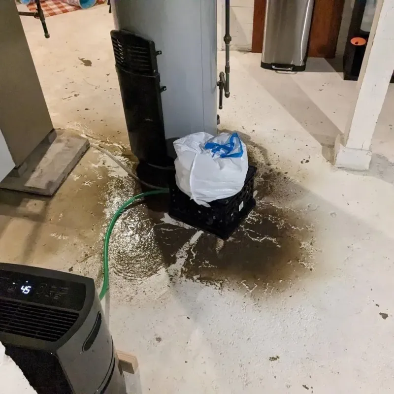 Sewage Backup Cleanup Service in Decherd, TN
